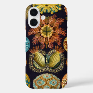 Coques iPhone 16 Ascidiae par Ernst Haeckel, Animaux marins Vintage