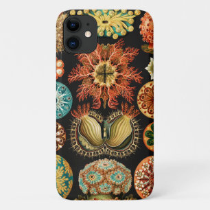 Case-Mate iPhone Case Ascidiae, Seescheiden Marine Life par Ernst Haecke
