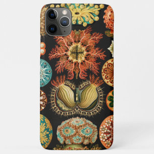 Case-Mate iPhone Case Ascidiae, Seescheiden Marine Life par Ernst Haecke