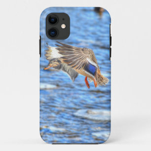 Coque iPhone 11 Atterrissage du canard-Majard Photo de la faune