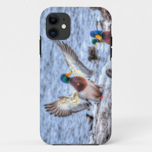 Coque Case-Mate Pour iPhone Atterrissage du canard Mallard Drake 5 Photo de la