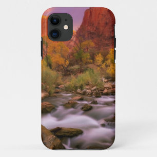 Coque iPhone 11 Aube grande
