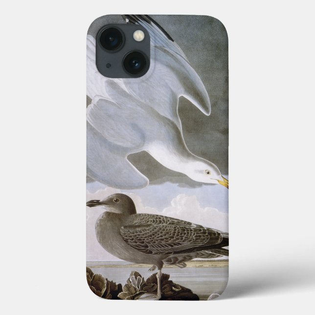 Coques Case-Mate iPhone Audubon (Verso)