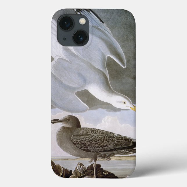 Coques Case-Mate iPhone Audubon (Verso)
