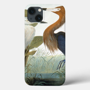 Etui iPhone Case-Mate Audubon : Aiguille Rougeâtre Ou Héron Violet