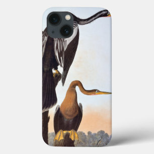 Coque Case-Mate iPhone Audubon : Anhinga