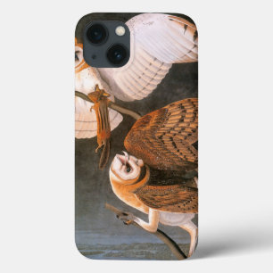 iPhone 13 Case Audubon Barn Owl