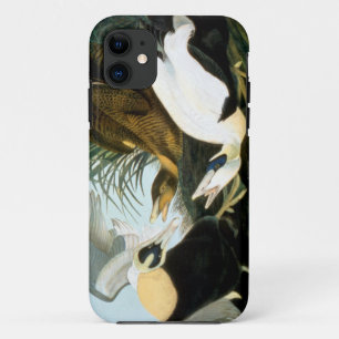 Etui iPhone Case-Mate Audubon : Canard d'Eider