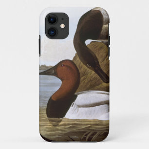 Coque Case-Mate Pour iPhone Audubon : Canvasback