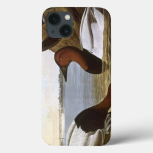 Etui iPhone Case-Mate Audubon : Canvasback