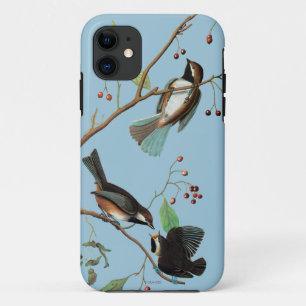 Coque Case-Mate iPhone Audubon : Chickadee