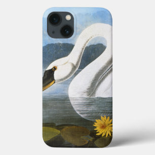 Etui iPhone 13 Audubon : Cygne commun