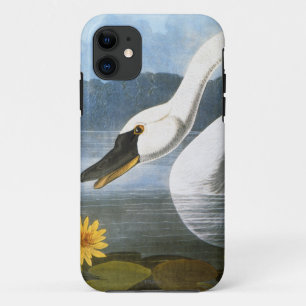 Coque iPhone 11 Audubon : Cygne commun