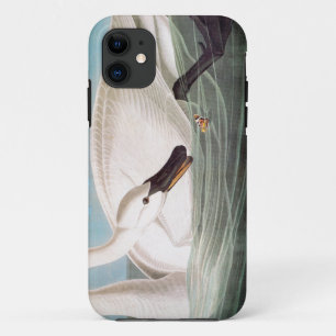 Coques Pour iPhone Audubon : Cygne de trompettiste