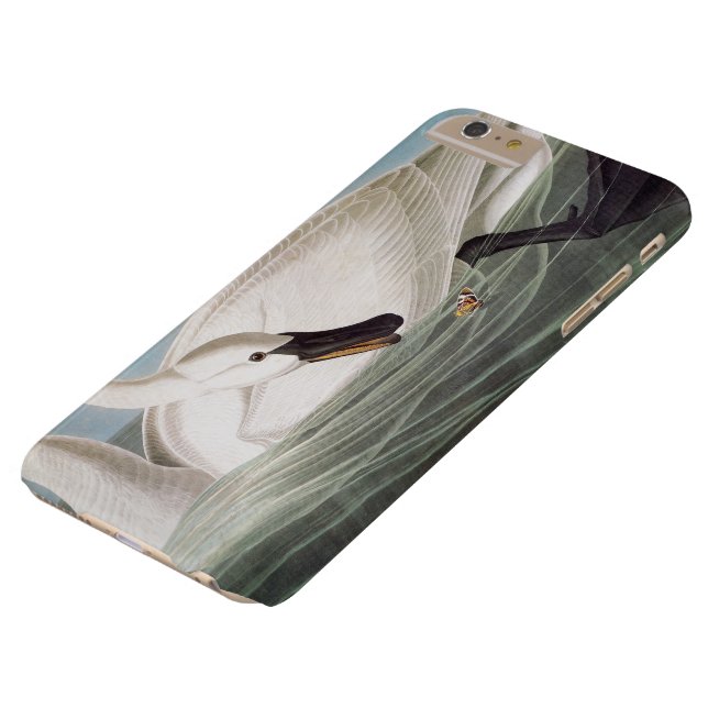 Coques Case-Mate iPhone Audubon : Cygne de trompettiste (Haut)
