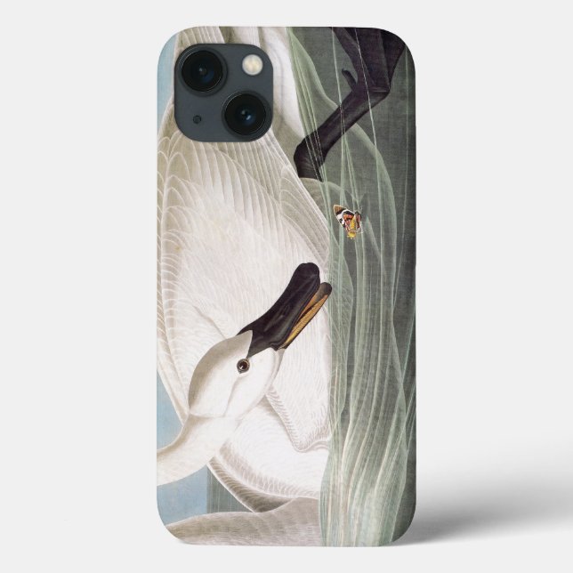 Coques Case-Mate iPhone Audubon : Cygne de trompettiste (Verso)