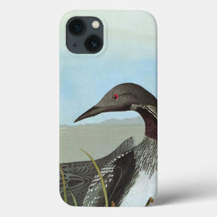 iPhone 13 Coque Audubon : Dingue arctique