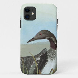 Coques Pour iPhone Audubon : Dingue arctique