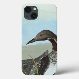 iPhone 13 Case Audubon : Dingue arctique