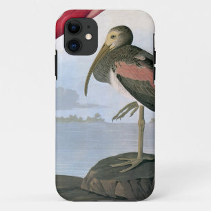 Etui iPhone Case-Mate Audubon : Écarlate IBIS