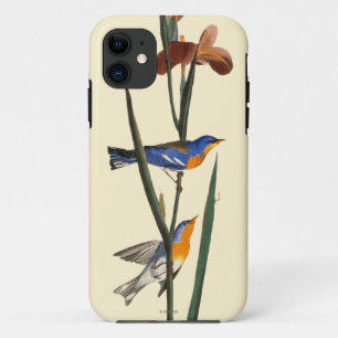Coques Pour iPhone Audubon : Fauvette