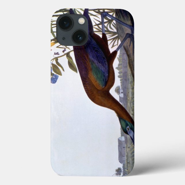 Coques Case-Mate iPhone Audubon: Glossy Ibis (Verso)