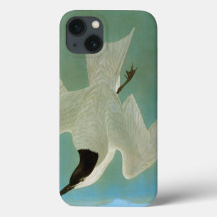 Case-Mate iPhone Case Audubon: Gull-Billed Tern