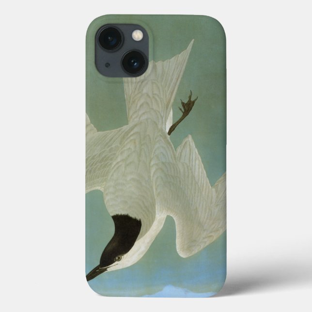 Coques Case-Mate iPhone Audubon: Gull-Billed Tern (Verso)