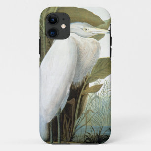 Coque iPhone 11 Audubon : Héron rougeâtre ou héron pourpre