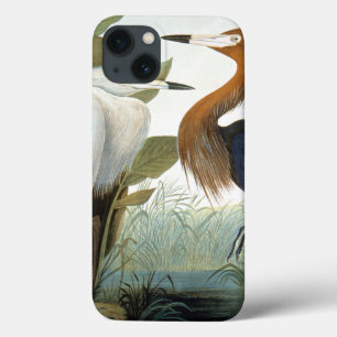 iPhone 13 Case Audubon : Héron rougeâtre ou héron pourpre