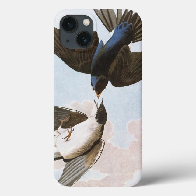 Coques Case-Mate iPhone Audubon : Hirondelle d'arbre (Verso)