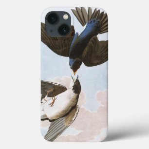 iPhone 13 Coque Audubon : Hirondelle d'arbre
