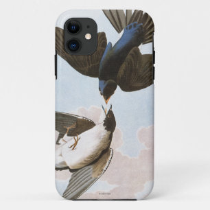 Etui iPhone Case-Mate Audubon : Hirondelle d'arbre