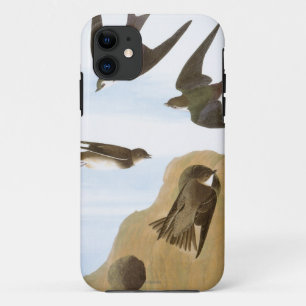 Coque Case-Mate Pour iPhone Audubon : Hirondelles