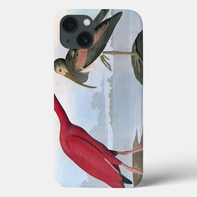 Coques Case-Mate iPhone Audubon : Ibis écarlate (Verso)