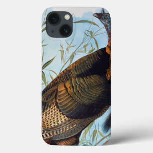 Etui iPhone 13 Audubon : La Turquie sauvage