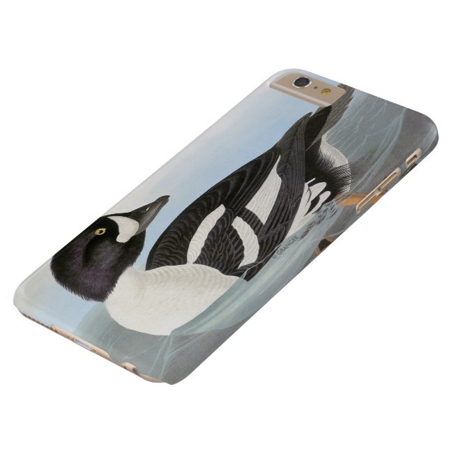 Coques Case-Mate iPhone Audubon : Le Goldeneye de la brouette (Haut)