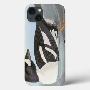 Etui iPhone Case-Mate Audubon : Le Goldeneye de la brouette