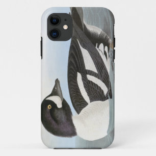 Coque Case-Mate Pour iPhone Audubon : Le Goldeneye de la brouette