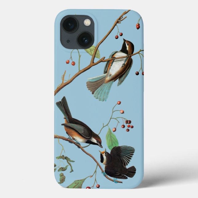 Coques Case-Mate iPhone Audubon : Le poulet (Verso)