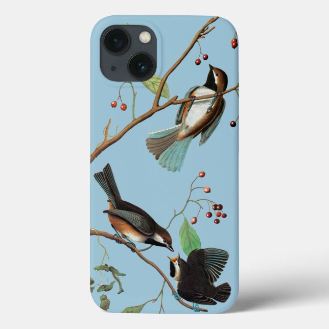 Coques Case-Mate iPhone Audubon : Le poulet (Verso)