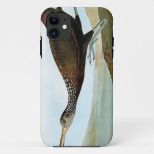 Coque iPhone 11 Audubon : Limpkin