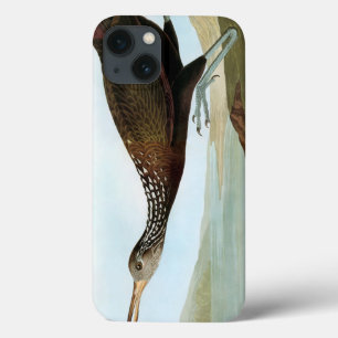 Etui iPhone Case-Mate Audubon : Limpkin