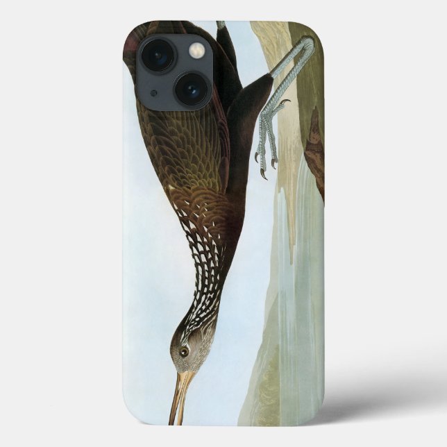 Coques Case-Mate iPhone Audubon : Limpkin (Verso)