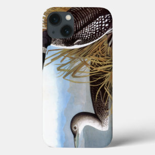 Coques Pour iPhone Audubon : Loon commun
