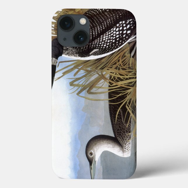 Coques Case-Mate iPhone Audubon : Loon commun (Verso)