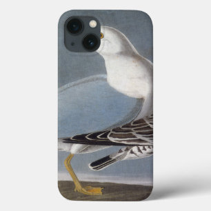 iPhone 13 Case Audubon : Mouette Anneau-Affichée