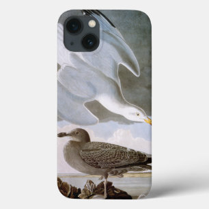 Etui iPhone Case-Mate Audubon : Mouette d'harengs