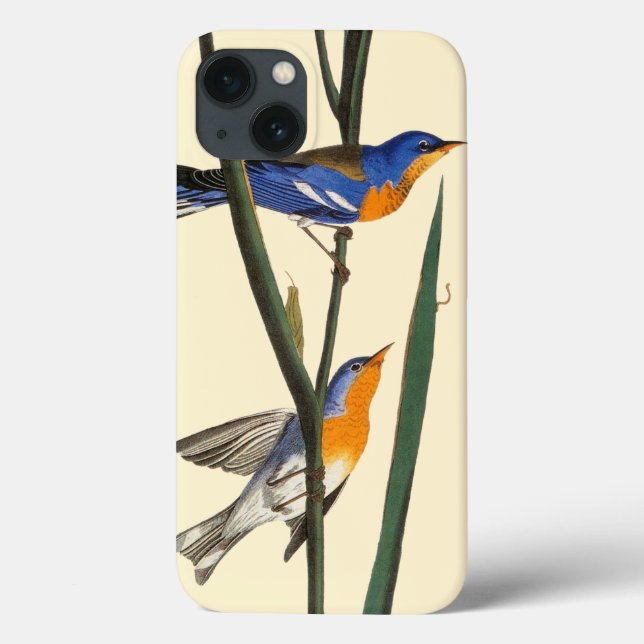 Coques Case-Mate iPhone Audubon : Paruline (Verso)