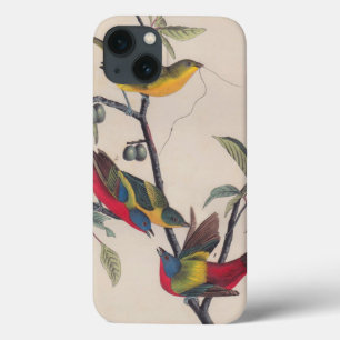 Case-Mate iPhone Case Audubon Peint Bunting Bird Wildlife